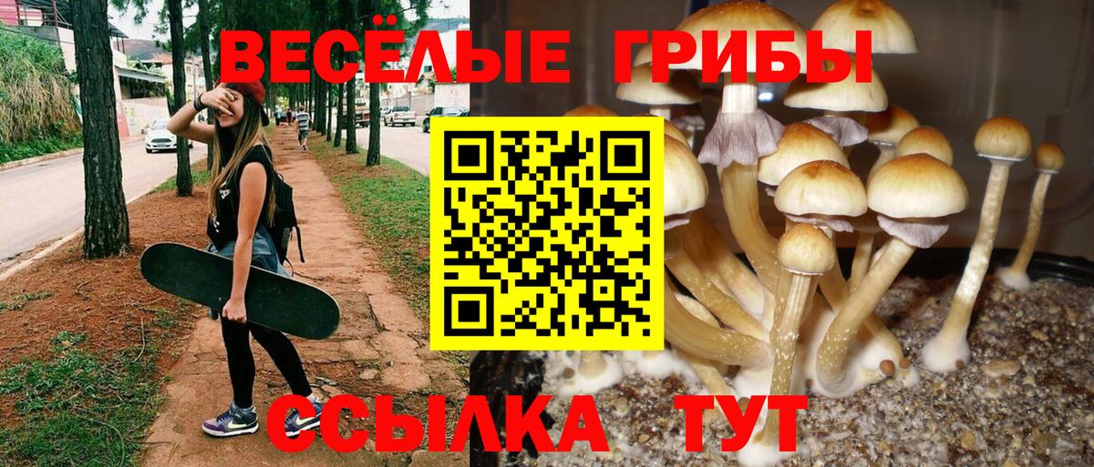 Бийск  Галлюциногенные грибы ЛСД  Псилоцибиновые грибы ЛСД  Вход с VPN 