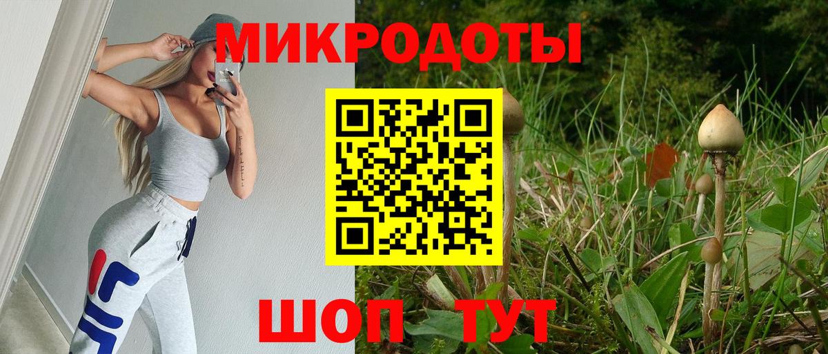 Псилоцибиновые грибы Cubensis Бийск