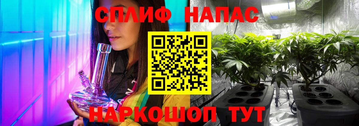 Конопля конопля Бийск